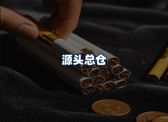 专业团队办公环境